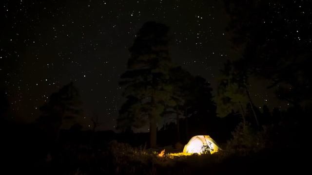 Звуки сверчков и ночного костра. Атмосфера ночного леса для сна и отдыха. смотреть онлайн