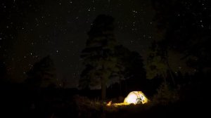 Звуки сверчков и ночного костра. Атмосфера ночного леса для сна и отдыха.