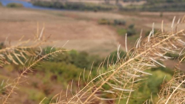 Славянский «мегаполис» был больше Киева! Кто вычеркнул из истории Вантит? (Воронежская область) смотреть онлайн