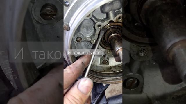 Муравей хорошо потрудился #муравей #мотороллер #мотоцикл смотреть онлайн