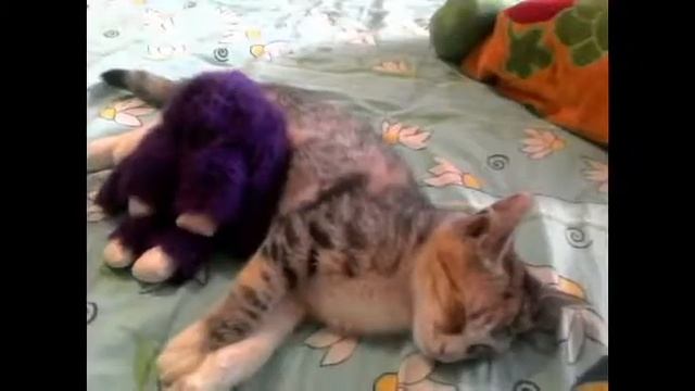 Три сестры (Аманда, Линда, и Роуз.) смотреть онлайн