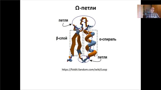Лекция 11. Структура белка.