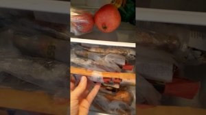 Для раннего черенкования сохраняю ветки метельчатой гортензии в холодильнике.