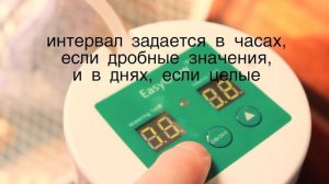 Самая простая и удобная система автоматического полива домашних растений!
