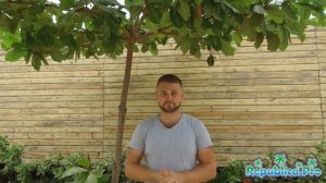 Какая погода в Доминикане в Феврале? (доминикана. доминикана2017. доминикана цены. доминикана видео