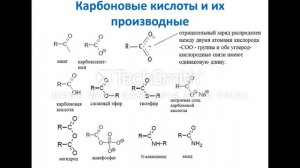 Гомофункциональные соединения. Альдегиды, кетоны,  карбоновые кислоты.