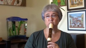 Aulos Haka 709B Alto Recorder & Celtic Harp - `Sally Gardens´