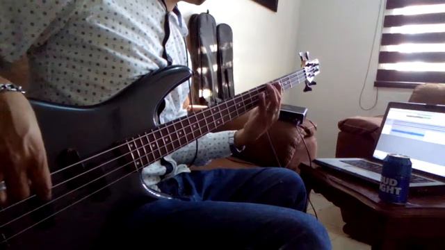 green day- warning bass cover ibanez SR400 korea