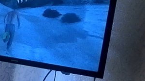 Где найти бугатти верон и секретное оружие в гта 5