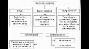 11. Виды и свойства внимания. Теории внимания. ГОСЫ по психологии. Общая психология