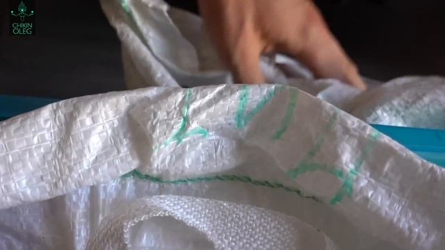 Чем заменить мясо и молочные продукты? Переход на растительное питание