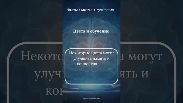 Цвета и обучение смотреть онлайн