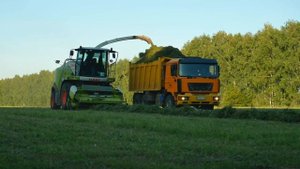 Уборка травы в августе Кормоуборочный комбайн "Сlaas Jaguar 860"