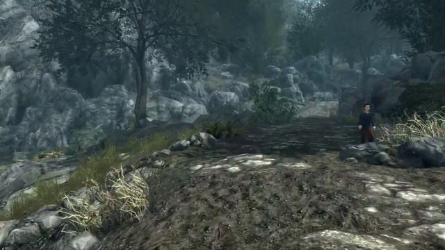 Skyrim (mods) - Spotlight On: Treerific! смотреть онлайн
