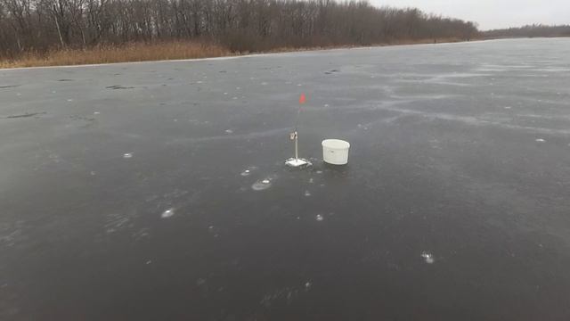 Открытие зимнего сезона. Нашли лед. Щука на жерлицы.