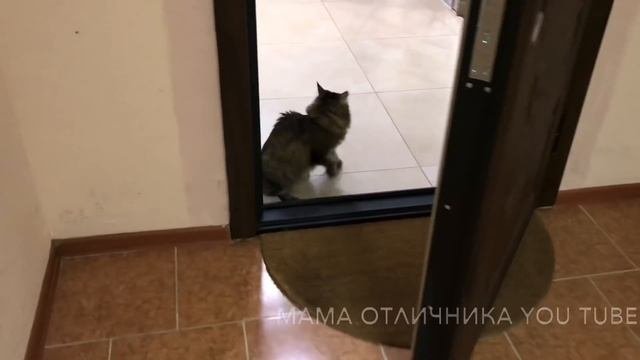 Примерка платьев на Новый год! Это платье взорвало Инстаграм!