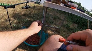 Carpfishing.Ловля трофейного карпа и амура на Кубани Встреча с амуром Квазимодой