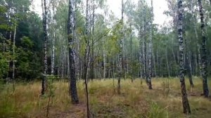 Валерий Ноев "Хатыҥчааным барахсан". Якутские песни 70-х гг.