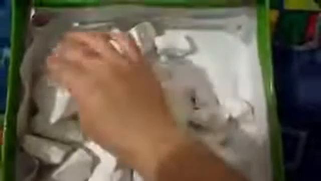 Chalk | Мел Северский смотреть онлайн