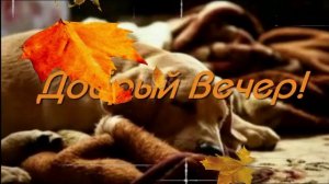 Добрый вечер ! Желаю доброго вечера! Пожелания доброго вечера.