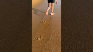 отель OAK RAY Beach 5* Шри-Ланка обзор первого дня
