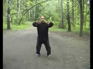 Тайцзи цюань Чень И лу