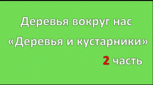 2ч Деревья вокруг нас Деревья и кустарники ЧДОУ Детский сад 198 ОАО РЖД