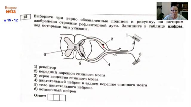 Варианты 16,17,18 Рохлов В.С. 1 часть ЕГЭ - 2021 Биология