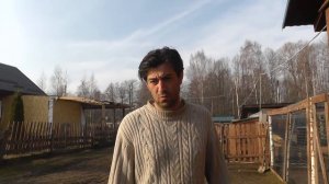 Чем кормить цесарок ? Рацион, суточные нормы и другие секреты в хозяйстве Березино.