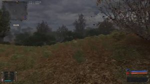 Stalker Золотой шар Дежурный по кухне