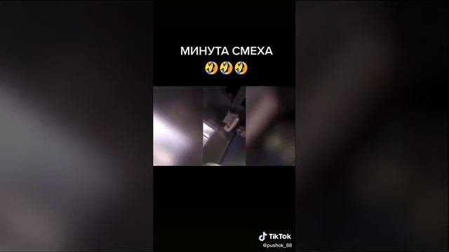 Приколы (2020) смешные животные!!