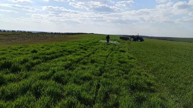 Опрыскиватель для огорода  самодельный опрыскиватель