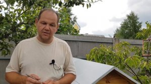 ПЧЕЛИНЫЙ ЯД. МОЙ ЛИЧНЫЙ ОПЫТ ПЧЕЛОУЖАЛИВАНИЯ