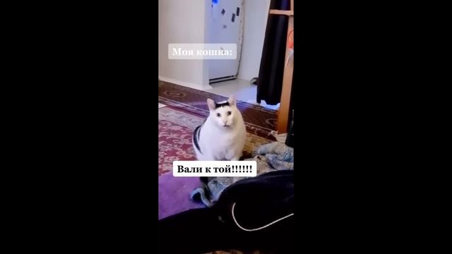 РЕВНОСТЬ ?
