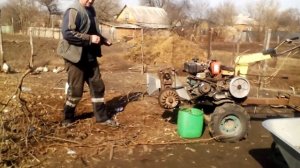 Как устроен веткоруб