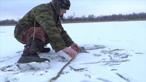 Способ ловли плотвы которая боится рыбаков!