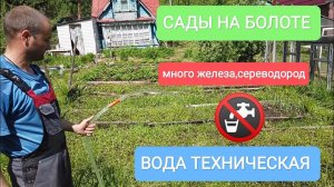 БЫСТРОЕ РЕШЕНИЕ ВОДОСНАБЖЕНИЯ ОГОРОДА АБИССИНСКАЯ СКВАЖИНА.ВОДА ДЛЯ ПОЛИВА.