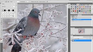 Как отредактировать фото в программе фотошоп
