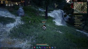 BLACK DESERT - КАРМА И КАК ЕЕ ОТМЫТЬ?!