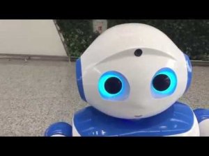 Авиакомпания China Southern, Южно-Китайские авиалинии, транзит Гуанчжоу, отель Gloria Plaza часть 2
