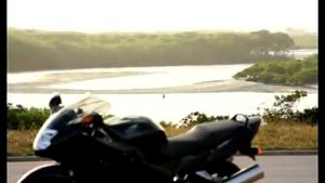 Honda CBR 1100 XX Super Blackbird