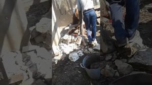 Как забить  11 месячного быка