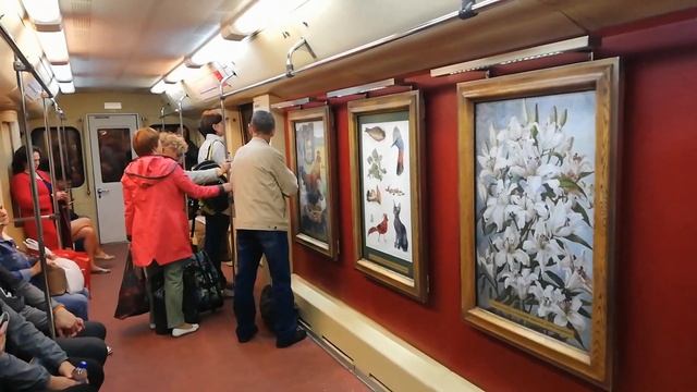 VLOG. Москва глазами приезжего. Измайловский парк. Пикник на траве. смотреть онлайн