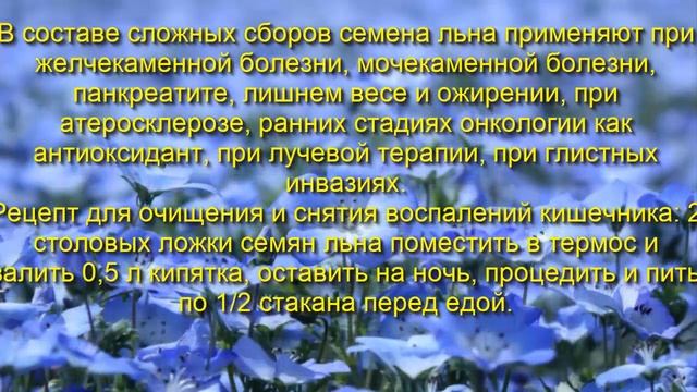 Полезные свойства семян льна и льняного масла
