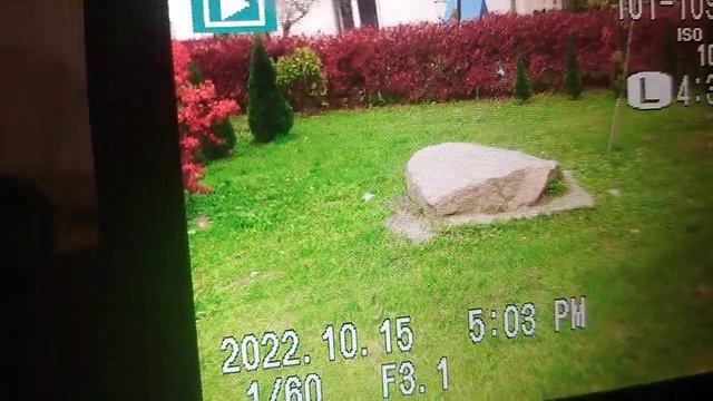 FujiFilm FinePix S3200 смотреть онлайн