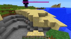 ЧТО СЛУЧИЛОСЬ С ЛЕДИ БАГ В МАЙНКРАФТ MINECRAFT