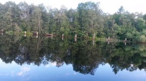 Рыбалка, река Кема, Вологодская область