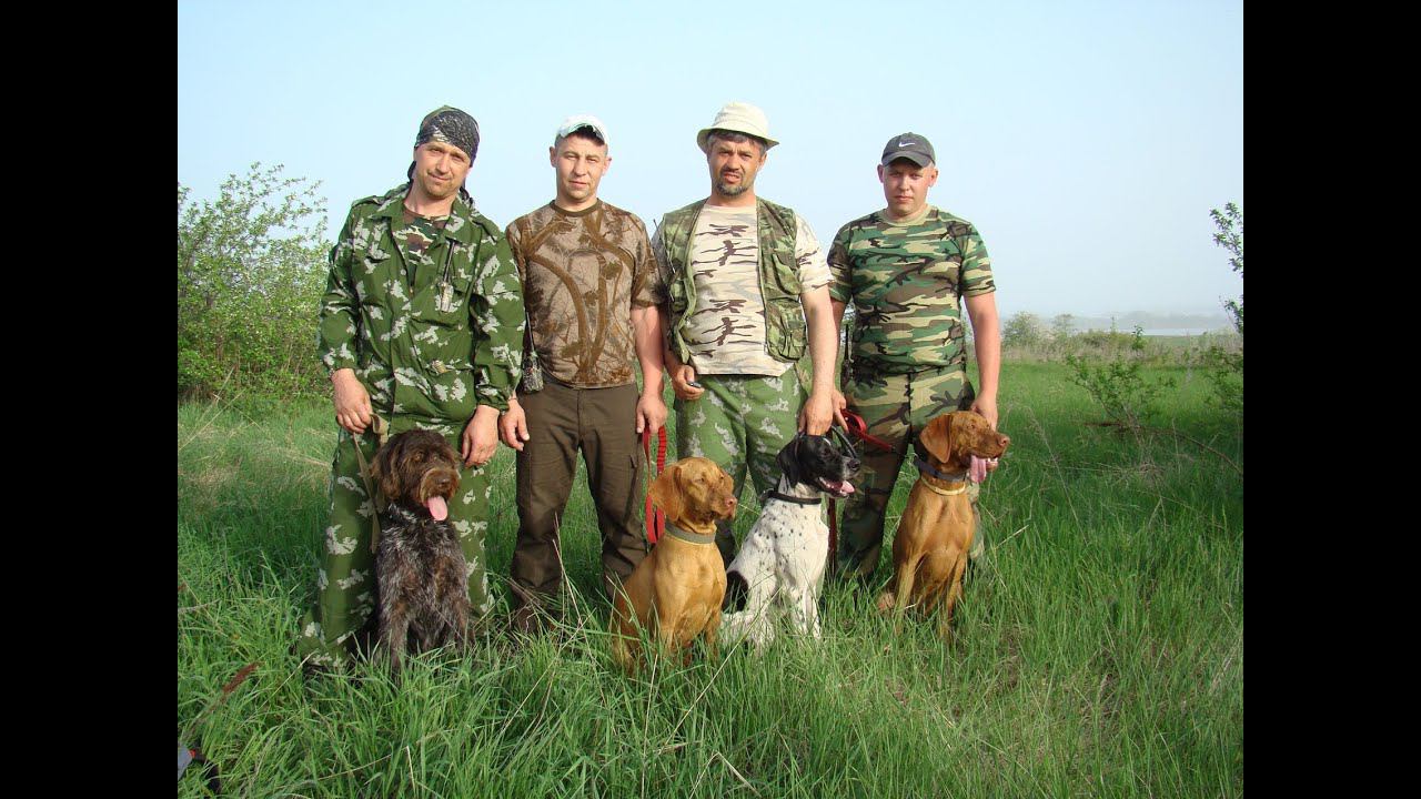 Отзывы четвертого заезда курса "Азбука натаски" смотреть онлайн