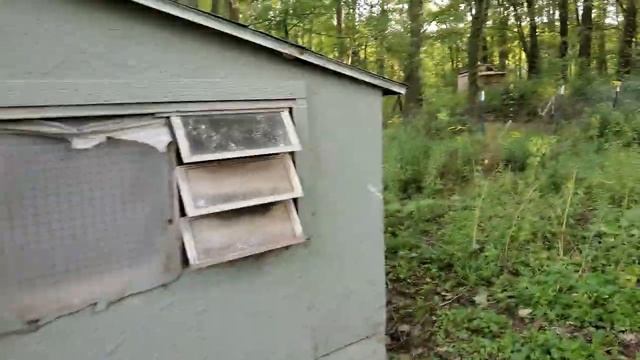 Easy Chicken Coop Build Idea смотреть онлайн