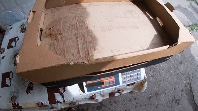 Ремонтантная клубника. Продажа 22.07. Альбион, вторая волна смотреть онлайн